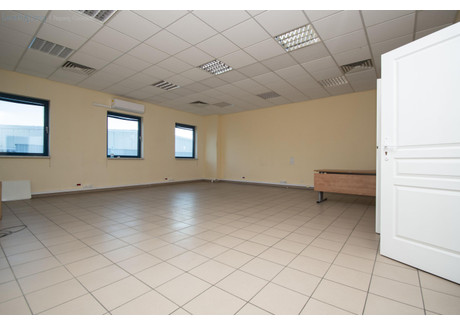 Biuro do wynajęcia - Sportowa Balice, Zabierzów, Krakowski, 180 m², 6300 PLN, NET-7555