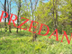 Rolny na sprzedaż - Łucka-Kolonia, Lubartów, Lubartowski, 5700 m², 179 000 PLN, NET-124/2352/OGS