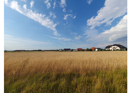 Działka na sprzedaż - Porzeczkowa Przybyszewo, Święciechowa (gm.), Leszczyński (pow.), 1634 m², 261 440 PLN, NET-72