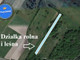 Rolny na sprzedaż - Kolechowice Kolonia, Ostrów Lubelski, Lubartowski, 18 000 m², 39 060 PLN, NET-LER-GS-2689
