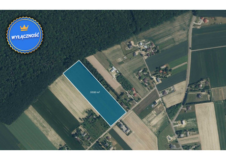 Działka na sprzedaż - Radawiec Duży, Konopnica, Lubelski, 30 580 m², 1 750 000 PLN, NET-LER-GS-3011