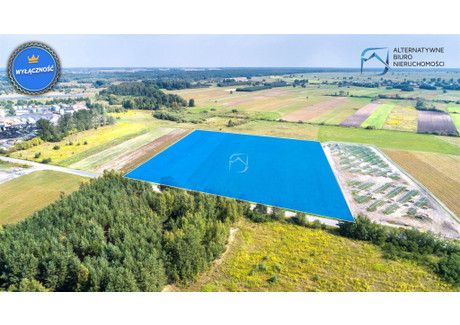 Działka na sprzedaż - Serniki, Lubartowski, 31 600 m², 4 069 000 PLN, NET-LER-GS-3001