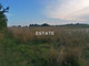 Rolny na sprzedaż - Popów, Pęczniew, Poddębicki, 2012 m², 300 000 PLN, NET-EST-GS-8095