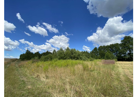 Działka na sprzedaż - Krzywnica, Stara Dąbrowa, Stargardzki, 9900 m², 100 000 PLN, NET-MDN77351