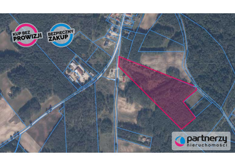 Działka na sprzedaż - Przewóz, Studzienice, Bytowski, 42 000 m², 1 560 000 PLN, NET-PAN319903