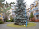 Mieszkanie do wynajęcia - Cypryjska Stegny, Mokotów, Warszawa, 83 m², 3900 PLN, NET-571