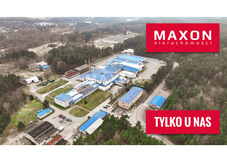 Magazyn na sprzedaż - ul. Powstańców Styczniowych Chrzanów, Chrzanowski, 29 742 m², 75 000 000 PLN, NET-780/OMS/MAX