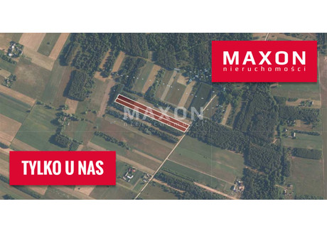 Działka na sprzedaż - Kolonia Złotki, Sadowne, Węgrowski, 14 891 m², 233 900 PLN, NET-7646/GS/MAX