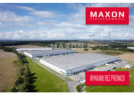 Magazyn do wynajęcia - ul. Bysewska Kokoszki, Gdańsk, 4167 m², 17 501 Euro (75 606 PLN), NET-4625/PMW/MAX