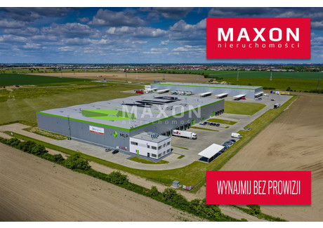 Magazyn do wynajęcia - ul. Polna Dąbrówka, Dopiewo, Poznański, 2200 m², 10 120 Euro (43 718 PLN), NET-4486/PMW/MAX