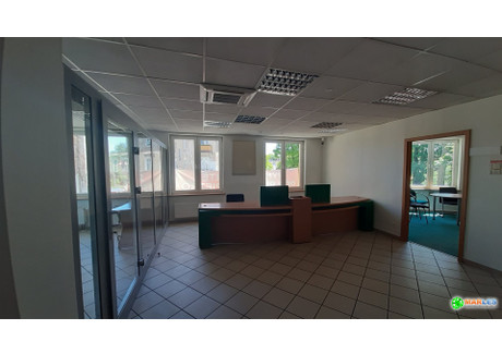 Biuro do wynajęcia - Cieplice Śląskie-Zdrój, Jelenia Góra, Jelenia Góra M., 310 m², 9000 PLN, NET-MAR-LW-13906