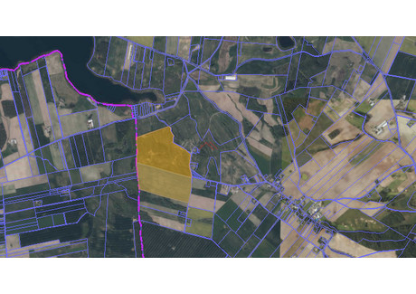 Działka na sprzedaż - Nawra, Nowe Miasto Lubawskie (gm.), Nowomiejski (pow.), 37 000 m², 5 180 000 PLN, NET-302