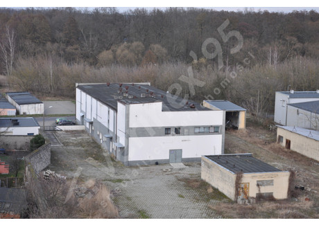 Hala na sprzedaż - Rawicz, Rawicki, 2100 m², 999 000 PLN, NET-VX569749