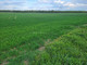 Rolny na sprzedaż - Pełcznica, Kąty Wrocławskie, Wrocławski, 29 660 m², 450 000 PLN, NET-CUCI478