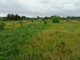 Rolny na sprzedaż - Glinik, Deszczno, Gorzowski, 903 m², 108 000 PLN, NET-LELE858