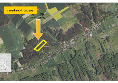 Działka na sprzedaż - Krześniczka, Witnica, Gorzowski, 14 600 m², 140 000 PLN, NET-MELY999