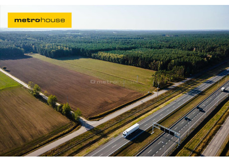 Działka na sprzedaż - Prosienica, Ostrów Mazowiecka, Ostrowski, 45 327 m², 1 350 000 PLN, NET-BOLU688