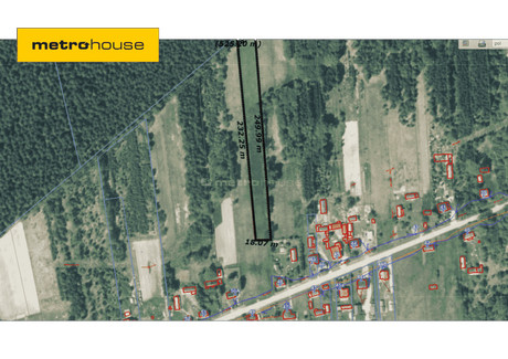 Działka na sprzedaż - Adamek, Stąporków, Konecki, 4900 m², 147 000 PLN, NET-SGJESO457