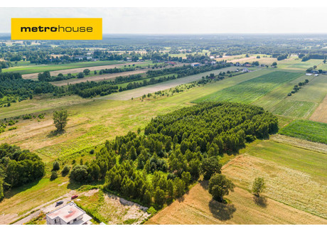 Działka na sprzedaż - Herbaciana Ruda-Bugaj, Aleksandrów Łódzki, Zgierski, 851 m², 191 475 PLN, NET-SGLARY384