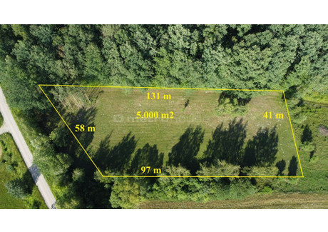 Działka na sprzedaż - Ciepielin, Pokrzywnica, Pułtuski, 5000 m², 265 000 PLN, NET-SGNEBA839