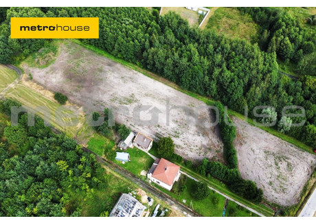 Działka na sprzedaż - Kowala Kolonia Kowala-Stępocina, Kowala, Radomski, 6500 m², 585 000 PLN, NET-SGVOZI495