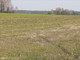 Rolny na sprzedaż - Olszyc Szlachecki, Domanice, Siedlecki, 2550 m², 127 500 PLN, NET-PICO303