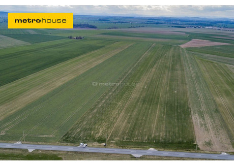 Działka na sprzedaż - Jenkowice, Kostomłoty, Średzki, 5000 m², 300 000 PLN, NET-ZOBU846