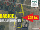 Działka na sprzedaż - Babice, Lutomiersk (Gm.), Pabianicki (Pow.), 23 400 m², 2 000 000 PLN, NET-14