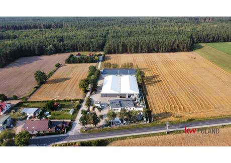 Obiekt na sprzedaż - Lipka Lipki, Gmina Popielów, Opolski, 8010 m², 4 500 000 PLN, NET-KW802242