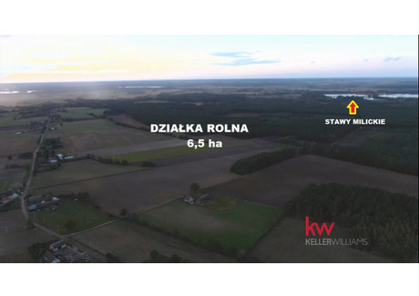 Działka na sprzedaż - Borzynowo, Milicz (Gm.), Milicki (Pow.), 65 000 m², 338 000 PLN, NET-KW379002