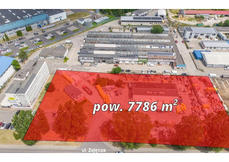 Działka na sprzedaż - Zajęcza Kłodzko, Kłodzki (pow.), 7786 m², 2 049 000 PLN, NET-20240617