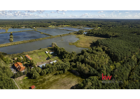 Działka na sprzedaż - Trzciel-Odbudowa, Miedzichowo (Gm.), Nowotomyski (Pow.), 6632 m², 258 000 PLN, NET-KW472054