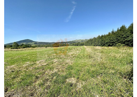 Działka na sprzedaż - Ptaszkowa, Grybów (Gm.), Nowosądecki (Pow.), 8500 m², 510 000 PLN, NET-098G