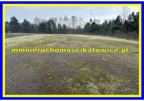 Działka do wynajęcia - Jaworzno, 4500 m², 6750 PLN, NET-19126083