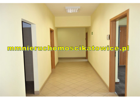 Biurowiec do wynajęcia - Katowice, 490 m², 12 250 PLN, NET-19126101