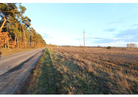 Działka na sprzedaż - Buszewo Pniewy (Gm.), Szamotulski (Pow.), 9723 m², 719 000 PLN, NET-178