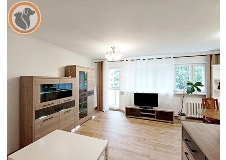 Mieszkanie do wynajęcia - Wrzeciono Bielany, Warszawa, 57 m², 2400 PLN, NET-32052/4034/OMW