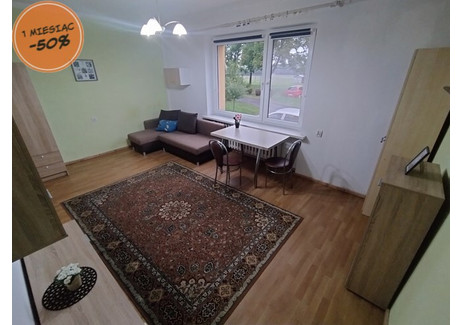 Mieszkanie do wynajęcia - Juliana Tuwima Kędzierzyn-Koźle, Kędzierzyńsko-Kozielski, 26 m², 1200 PLN, NET-32325/4034/OMW