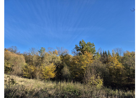 Działka na sprzedaż - Jasionka, Dukla, Krośnieński, 7000 m², 49 000 PLN, NET-152