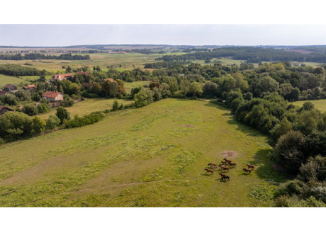 Działka na sprzedaż - Raciszewo, Miłakowo, Ostródzki, 1900 m², 57 000 PLN, NET-NKM-GS-139