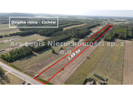 Działka na sprzedaż - Cichów, Brudzew, Turecki, 16 900 m², 85 000 PLN, NET-ARS-GS-33-1