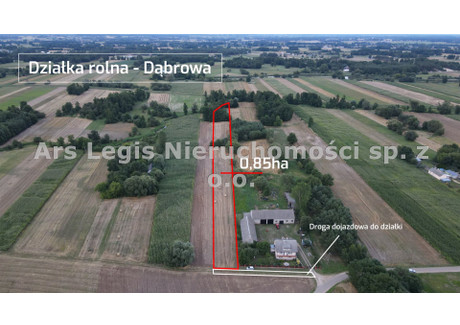 Działka na sprzedaż - Dąbrowa, Brudzew, Turecki, 8500 m², 56 000 PLN, NET-ARS-GS-16-2