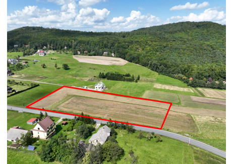 Działka na sprzedaż - Zasań, Myślenice (gm.), Myślenicki (pow.), 11 400 m², 1 499 000 PLN, NET-36