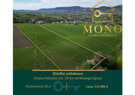 Działka na sprzedaż - Krasne Potockie, Chełmiec, Nowosądecki, 8200 m², 115 000 PLN, NET-103