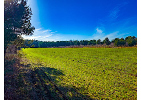 Działka na sprzedaż - Pogodna Bartoszówka, Żabia Wola, Grodziski, 1018 m², 149 000 PLN, NET-829832