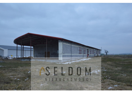 Magazyn, hala na sprzedaż - Walce, Krapkowicki, 1400 m², 1 820 000 PLN, NET-22/16507/OOS