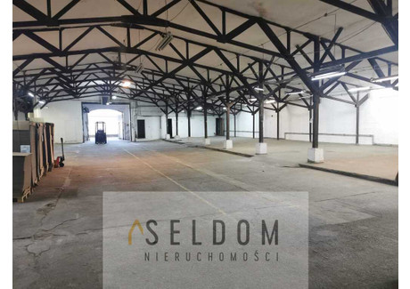 Magazyn, hala do wynajęcia - Centrum, Jelenia Góra, 1000 m², 19 900 PLN, NET-3/16507/OHW