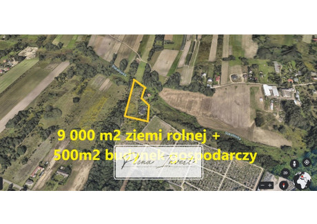 Działka na sprzedaż - Łódź-Bałuty, Łódź, 9100 m², 420 000 PLN, NET-4/13691/OGS