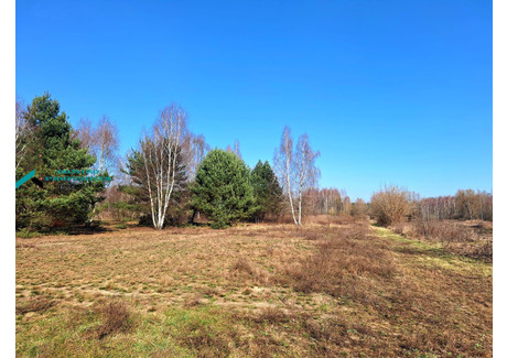 Działka na sprzedaż - Trakt Królewski Borzęcin Duży, Stare Babice (gm.), Warszawski Zachodni (pow.), 3000 m², 840 000 PLN, NET-45