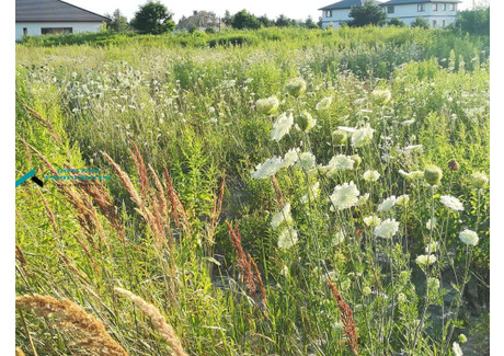 Działka na sprzedaż - Borzęcin Duży, Stare Babice, Warszawski Zachodni, 21 000 m², 3 150 000 PLN, NET-5